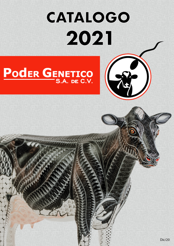 Catalogo